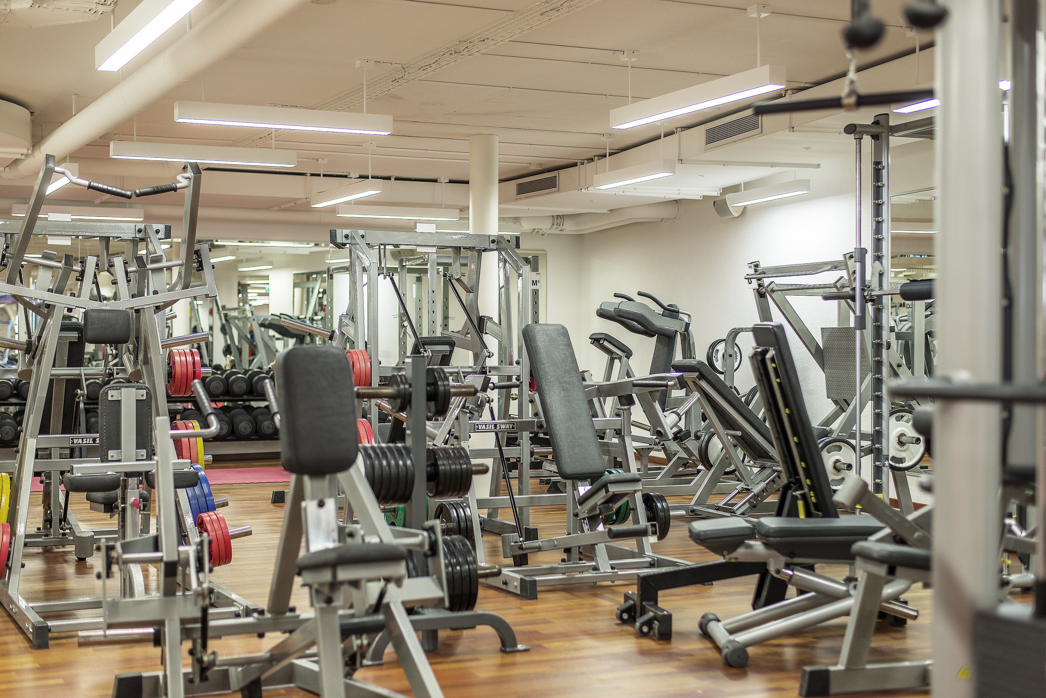 Gimnasio moderno